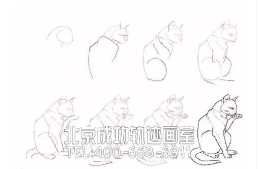 貓的素描結(jié)構(gòu)步驟圖17