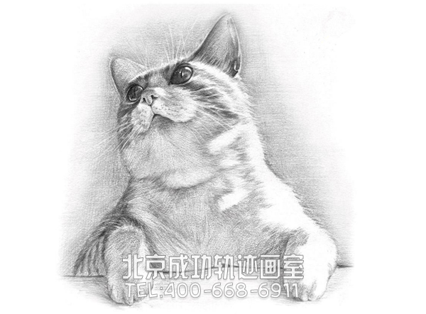 初學素描入門基礎