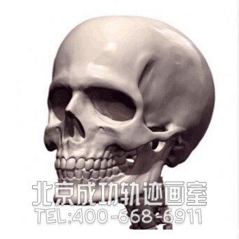 素描教程：人物頭部骨骼結構的素描畫法步驟