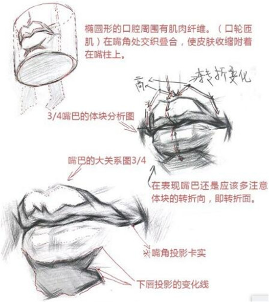 素描入門:素描嘴巴精講教程