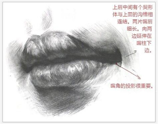 素描入門:素描嘴巴精講教程