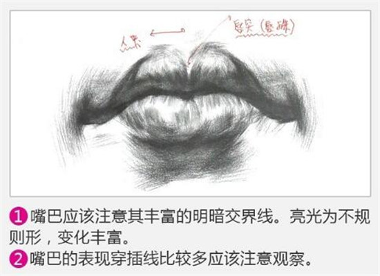 素描入門:素描嘴巴精講教程